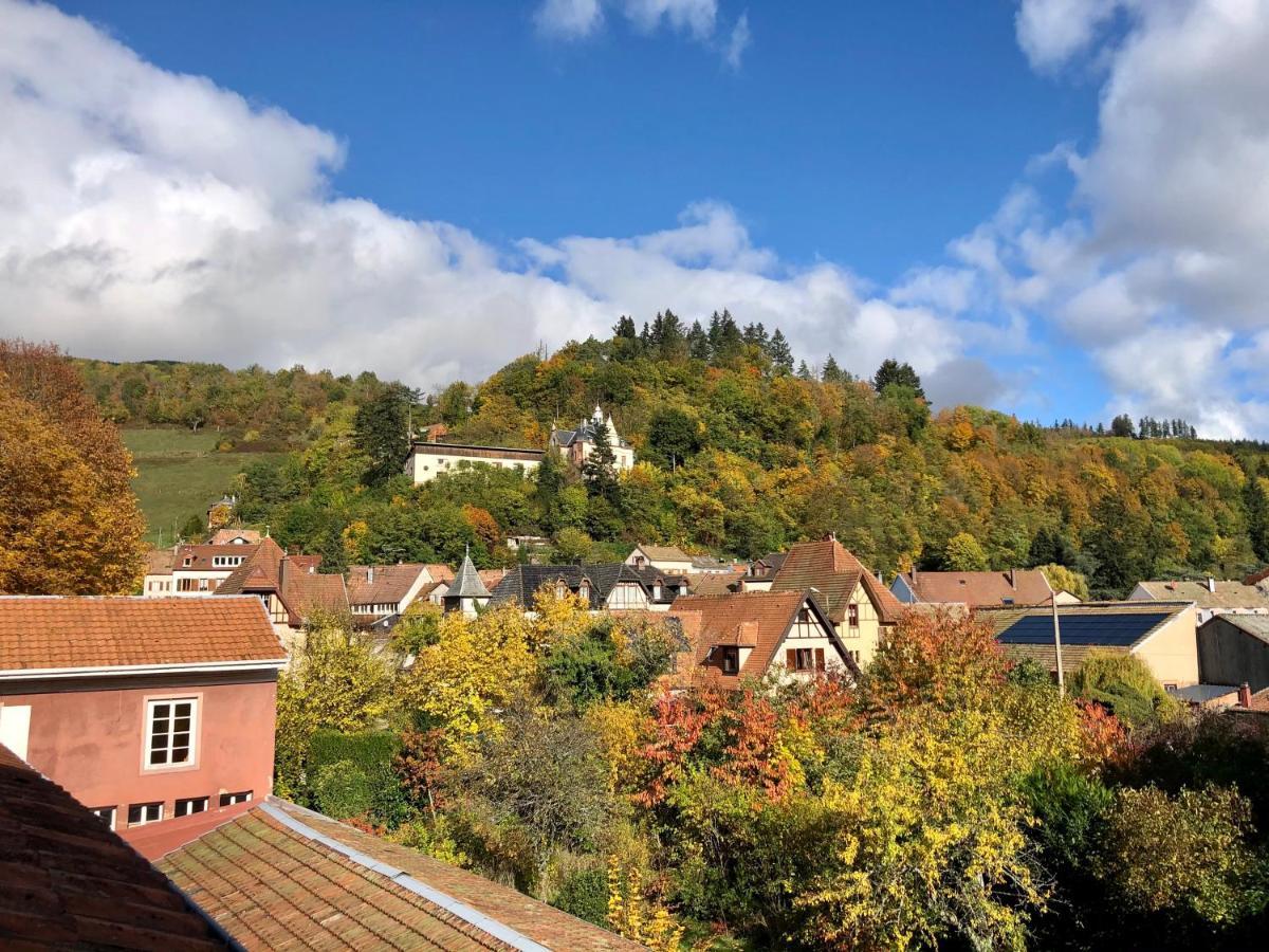 B&B La Cle D'Alsace Sainte-Marie-aux-Mines Exterior photo